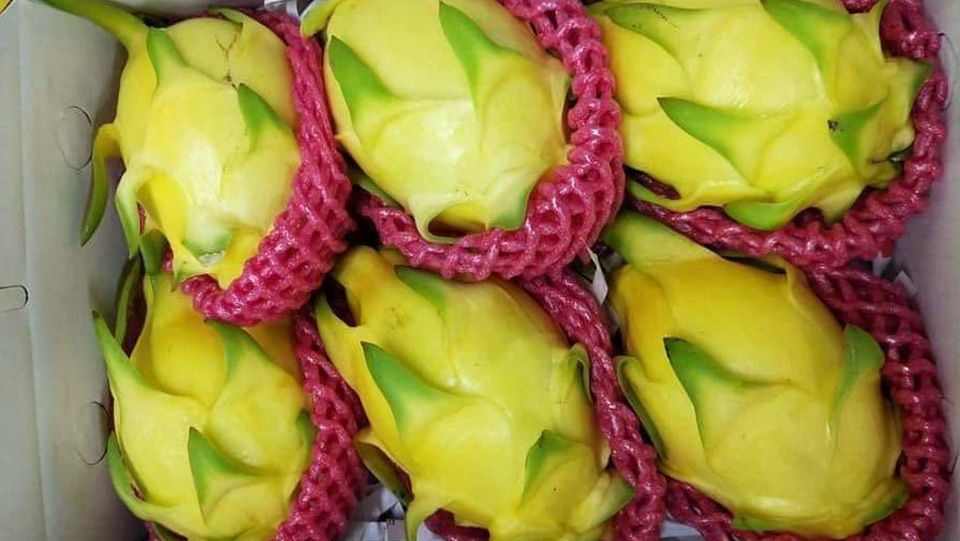 thanhlongvang14